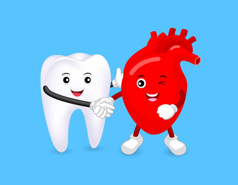 A cute cartoon tooth and heart shaking hands as partners. This represents the connection between oral health and heart disease, highlighting how dental plaque and gum disease can impact heart health.