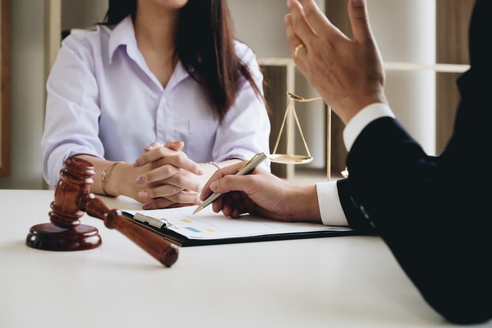 Business Lawyer discussing case with client