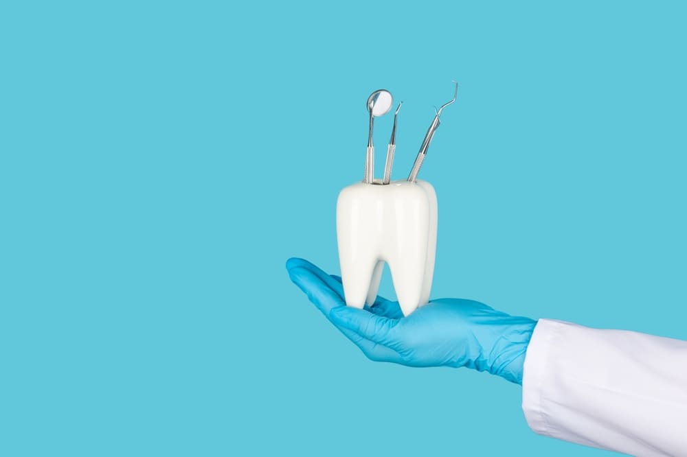 Gloved hand holding a tooth model with dental instruments, symbolizing dental practice ownership and operational responsibilities.